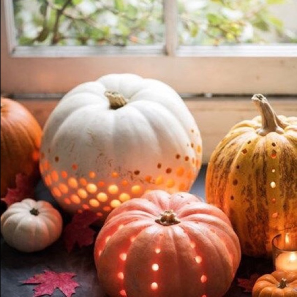 🍃🍁🍂Hello fall!! 🍁🍂🍃